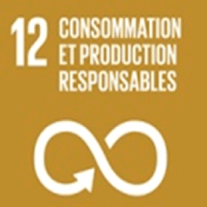 rse consommation et production responsables