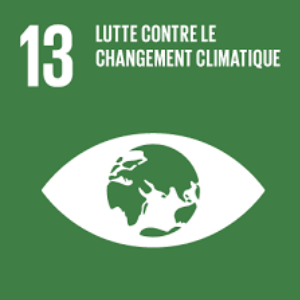 rse lutte contre le changement climatique