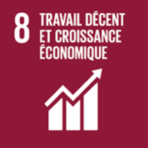 rse travail décent et croissance économique